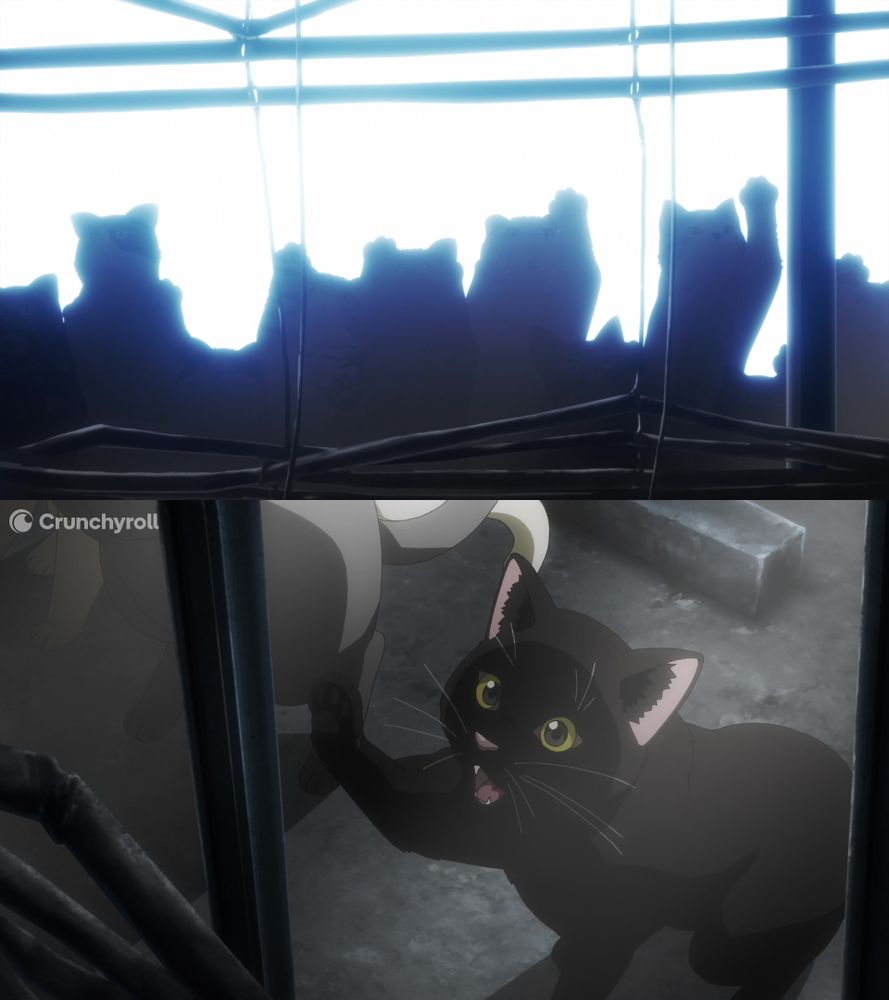 Top image: Multiple cats pawing at the window
Bottom image: Black cat meowing while pawing at the window
Both images from Nyaight of the Living Cat