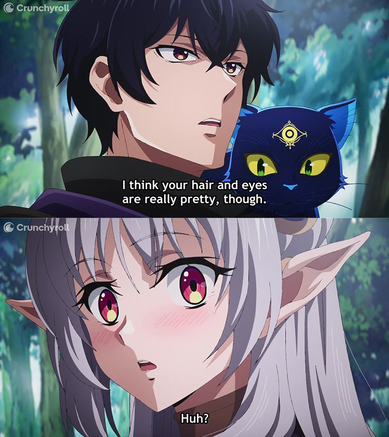 Two images from My Status as an Assassin Obviously Exceeds the Hero’s. The top image features a close-up of Akira and Night with text below that reads, "I think your hair and eyes are really pretty, though." The bottom image features a close-up of Amelia blushing with text that reads, "Huh?"