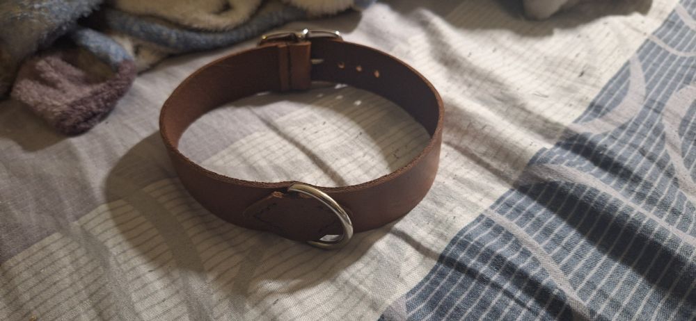 Brown and Silver collar front