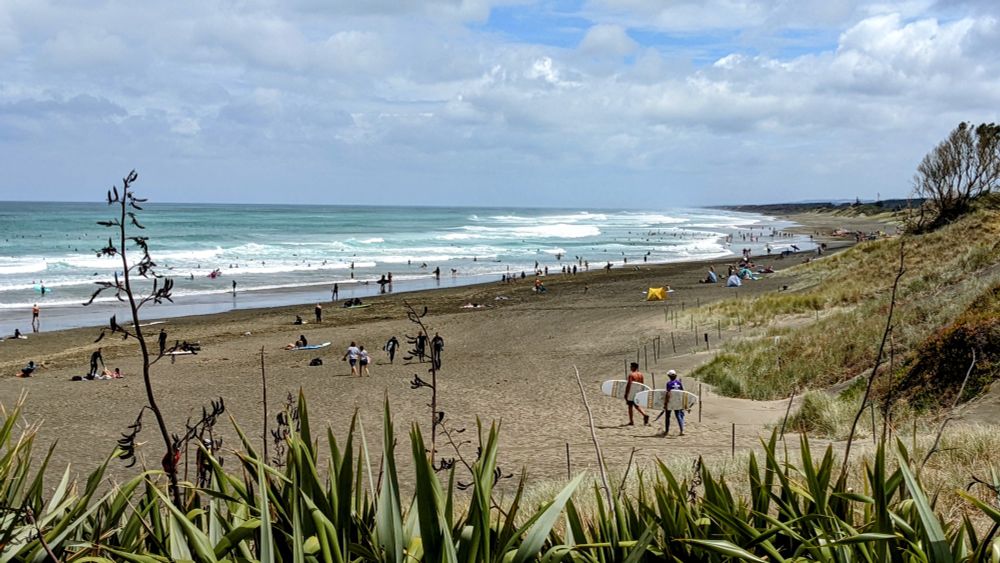 Muriwai Beach in Summer 2022