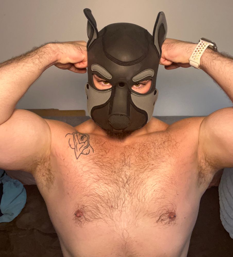 human pup posing and ready to tackle you 