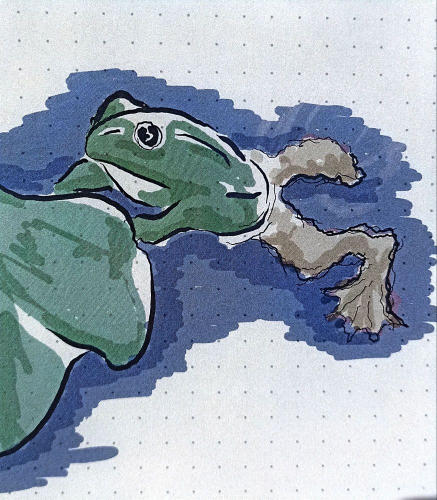 Colored sketch of a frog holding a water lily while floating in water.