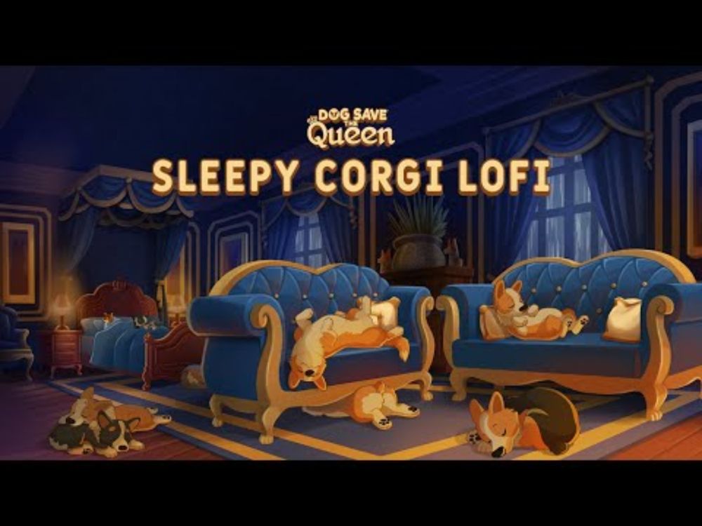 Rainy Days & Sleepy Corgis  🌧️ | cozy sounds to relax/ study/ unwind