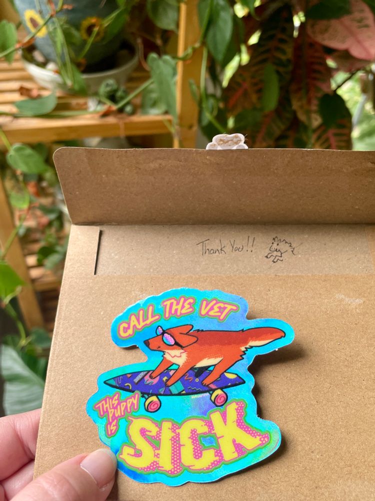 A sticker with a cool dog with glasses riding a longboard that says “call the vet this puppy is SICK.” There’s a brown envelope with a little thank you doodle on the inside flap, and the background has some various houseplants. 