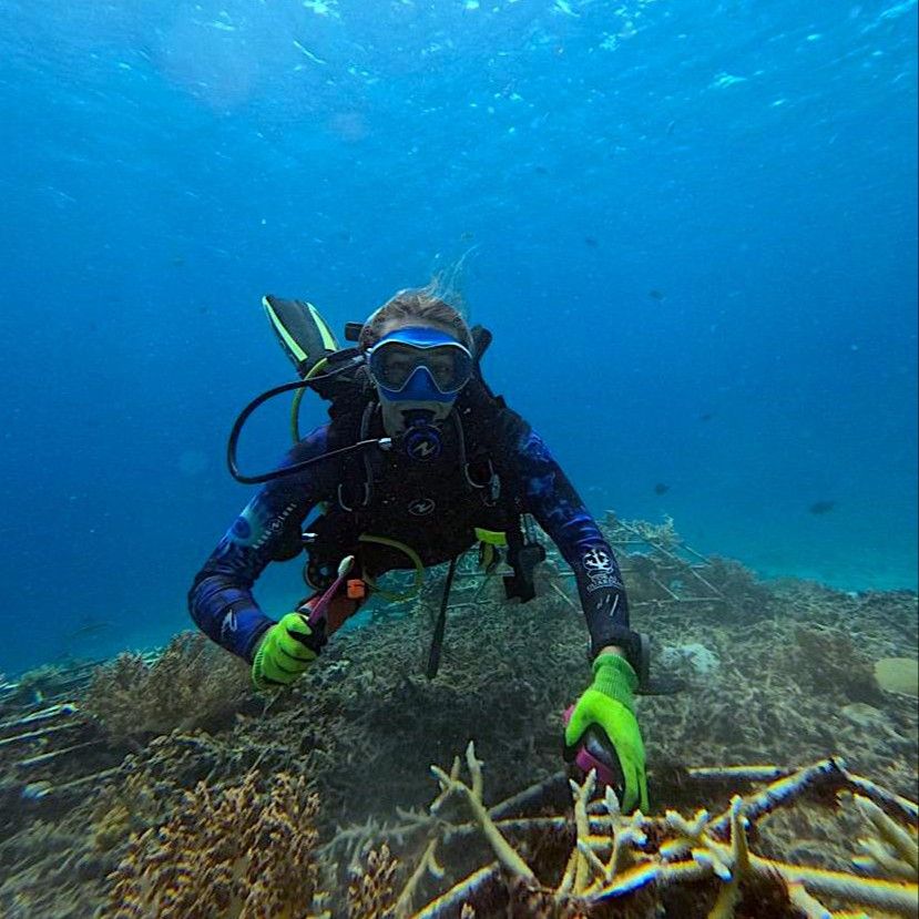 A girl underwater restoring the coral reefs