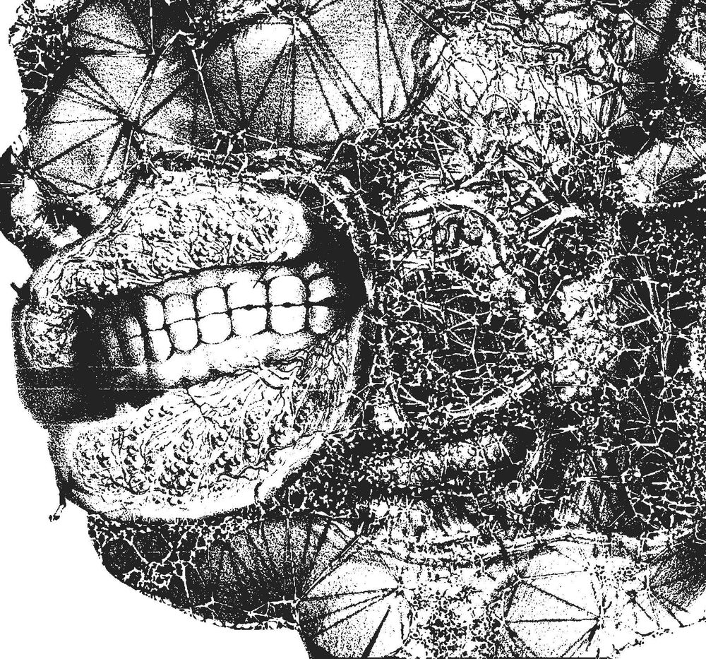 High-contrast black-and-white image of a distorted human head. Teeth, muscle textures, and polygonal mesh patterns overlap and fragment, creating a chaotic, glitch-like surface.