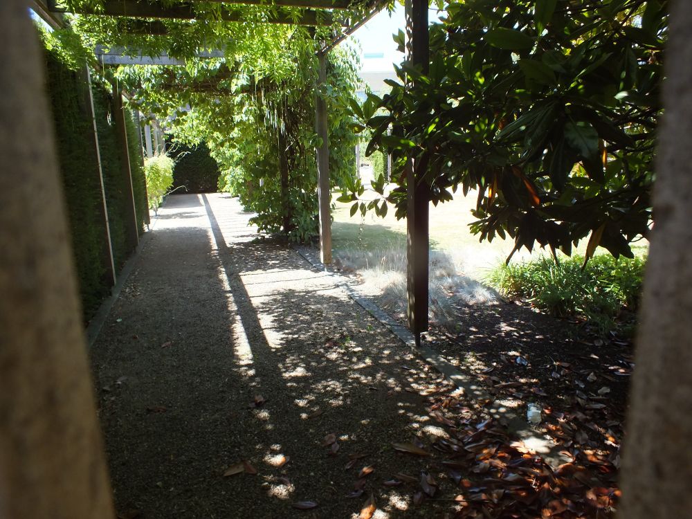 View through slit from Rewley Rd into the pergola with climbing plants and trees in the Said Business School back court that marks the archaeology of the N cloister.