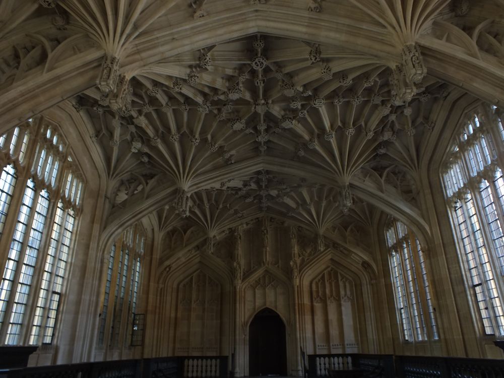 The four centred transverse arches of the Divinity School, looking west. Pendants spring approximately halfway up the arches to give the illusion it has floating aisles