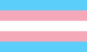 Trans flag
I'm a trans woman, savvy?