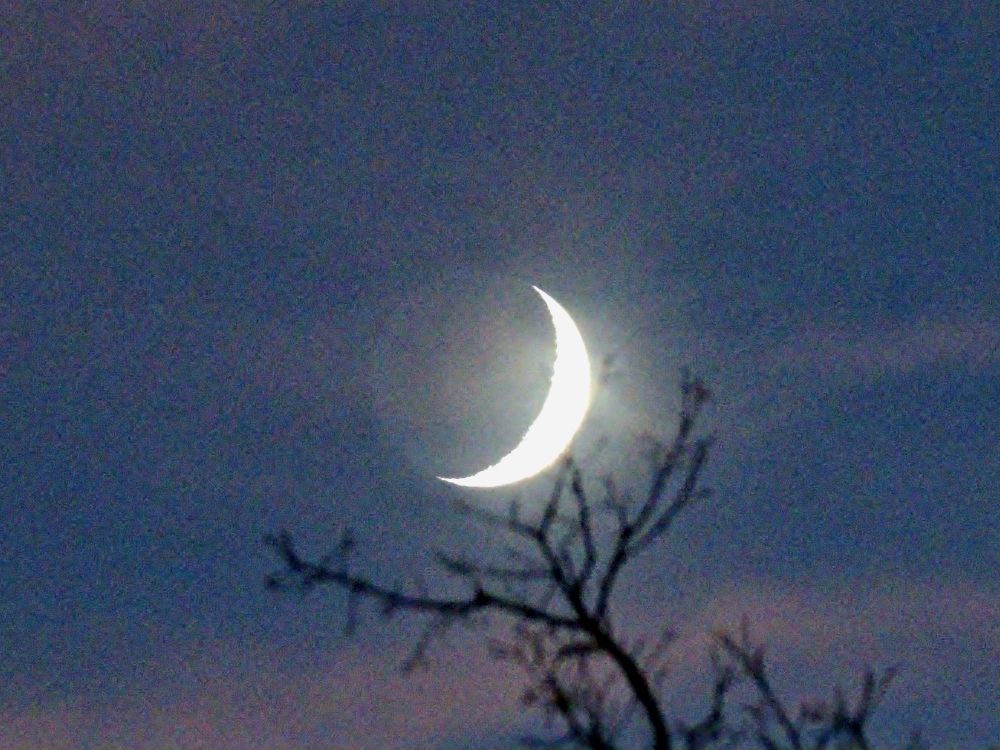 Crescent moon with some faint pink and purple in the sky leftover from sunset