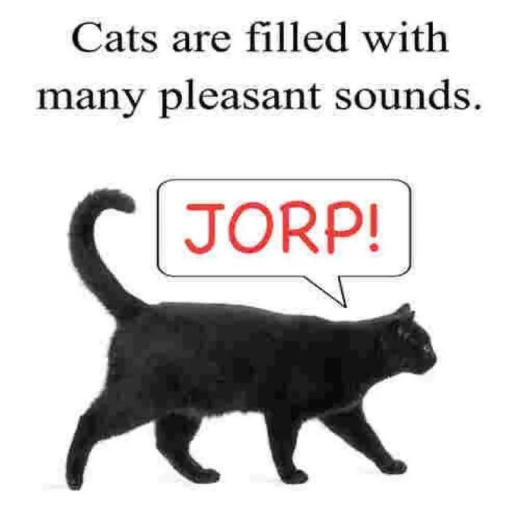 "Cats are filled with many pleasant sounds." 
Image of a black cat saying "JORP!"