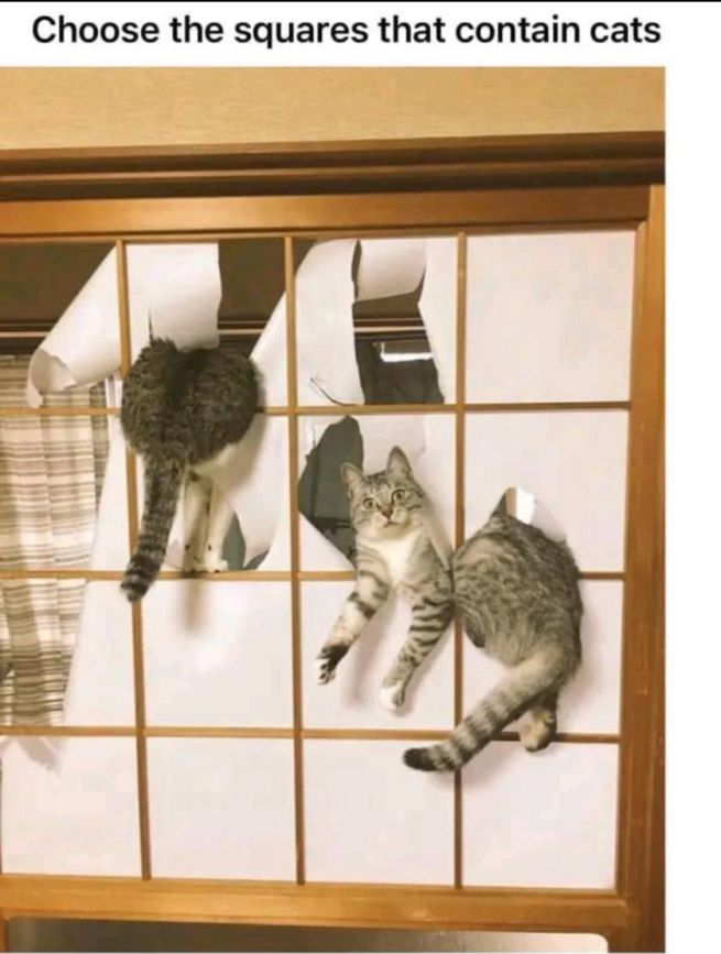 "Choose the squares that contain cats" as caption over a Japanese style door with two cats sticking through the paper (which is divided into squares like a Captcha."