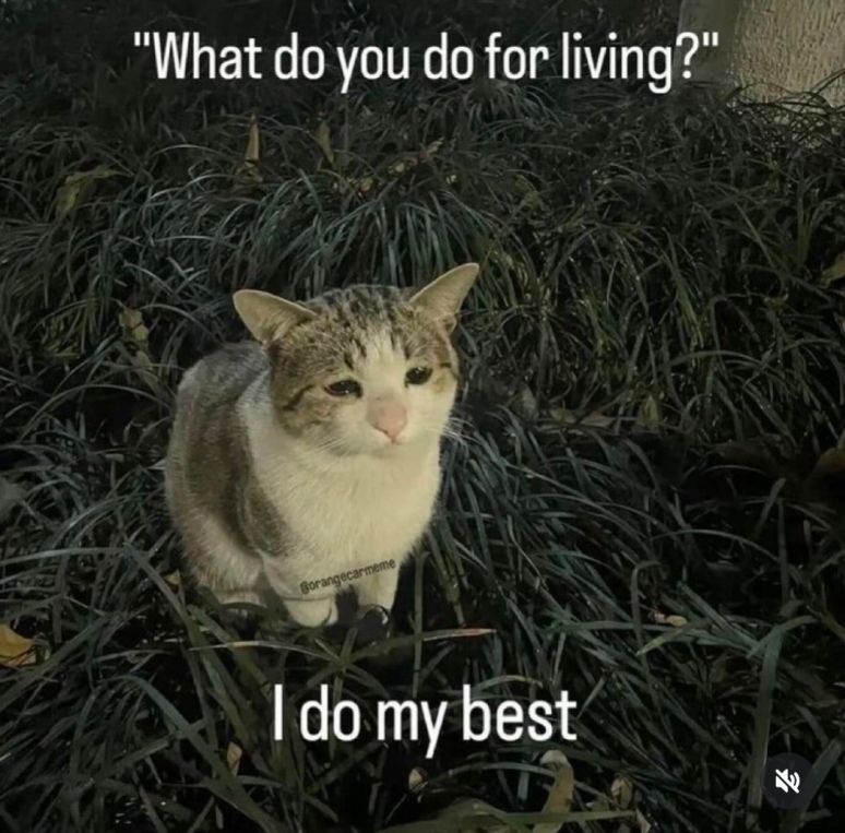 "What do you do for [a] living?"

I do my best

[image of a very sad cat in a desaturated field of grass.]