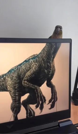 A bipedal dinosaur desktop image without a head, with a small parrot sat behind the screen poking his head out.