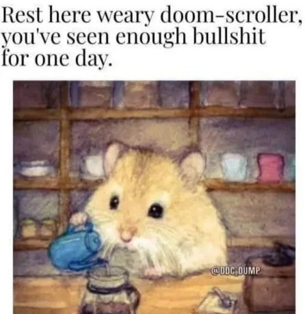 "Rest here weary doom-scroller, you've seen enough bullshit for one day."

A cute little hamster is making you coffee.