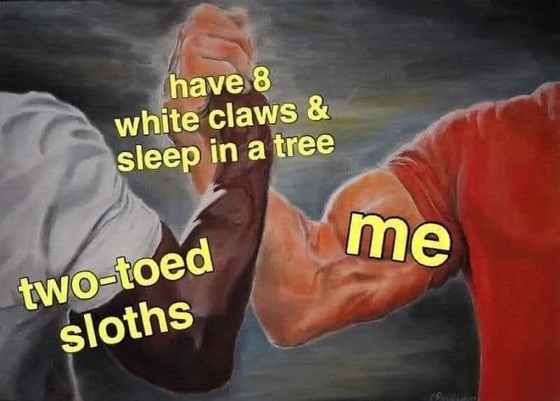 predator handshake: me vs two-toed sloths: have 8 white claws & sleep in a tree