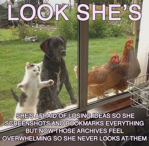 look she's
[image of a white kitten, a black dog and two brown chickens looking into a kitchen from the outside window sill.]

she's afraid of losing ideas so she screenshots and bookmarks everything but now those archives feel overwhelming so she never looks at them