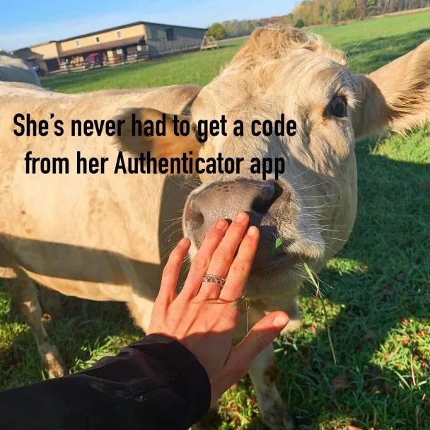 A cute tan cow sniffing someone's hand "She's never had to get a code
from her Authenticator app" 