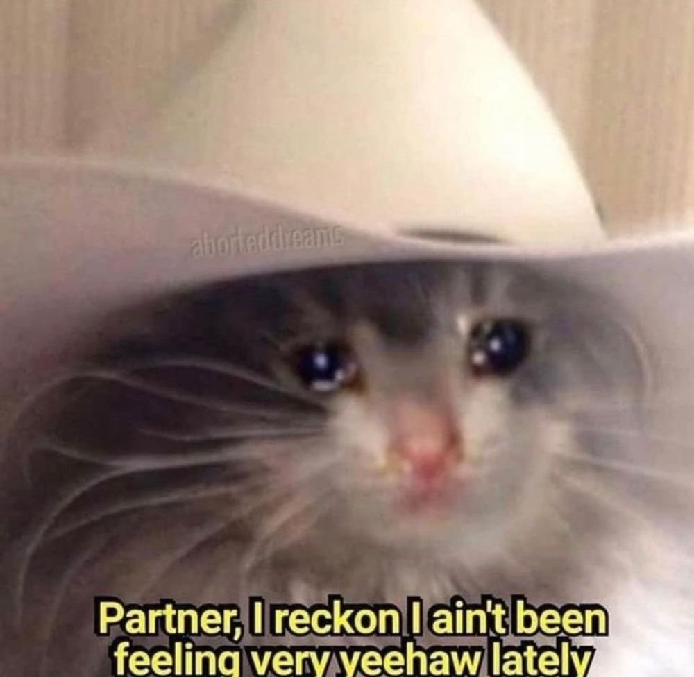 Sad kitten in a cowboy hat.

"Partner, I reckon I ain't been feeling very yeehaw lately."