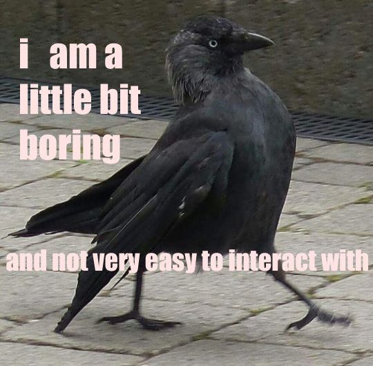 Comment image