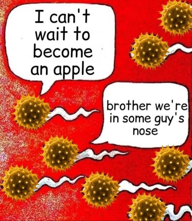 The semen in an unexpected place meme, but the heads of the semen has been replaced with pollen.

"I can't wait to become an apple" 
"brother we're in some guy's nose"