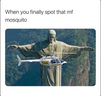 Cristo Redentor looking like he's ready to swat a passing helicopter.

"When you finally spot that mf mosquito."