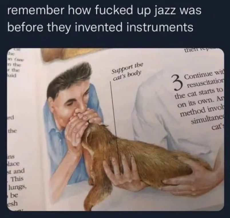 "remember how fucked up jazz was before they invented instruments"

as caption over someone giving mouth-to-mouth resuscitation to a cat.