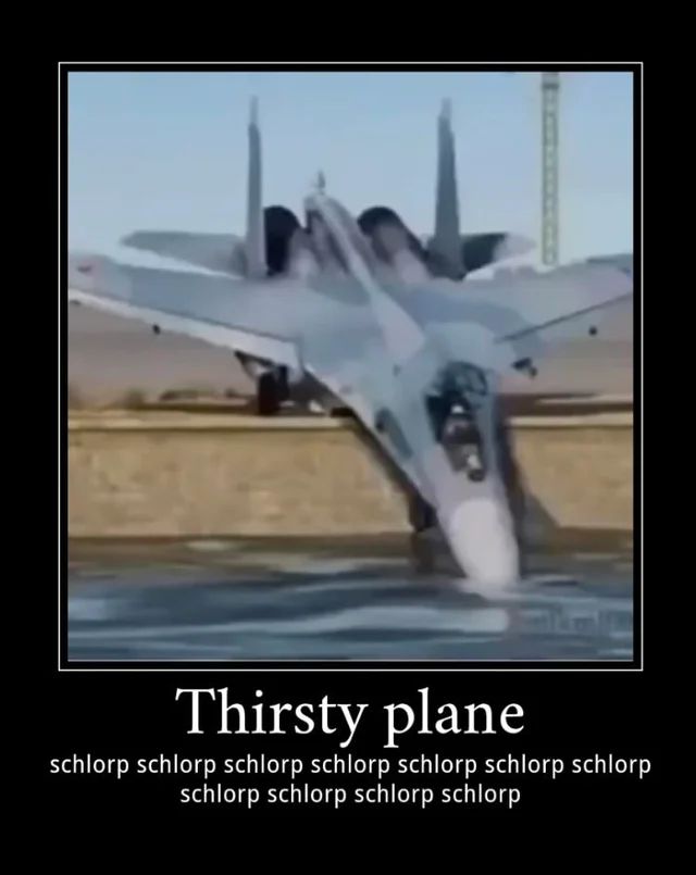 The Ancient Motivational Poster design.

Image, a fighter jet that overshot the runway and is now nose first in a body of water, balancing on the edge.

Text: Thirsty plane
schlorp schlorp schlorp schlorp schlorp schlorp schlorp
schlorp schlorp schlorp schlorp