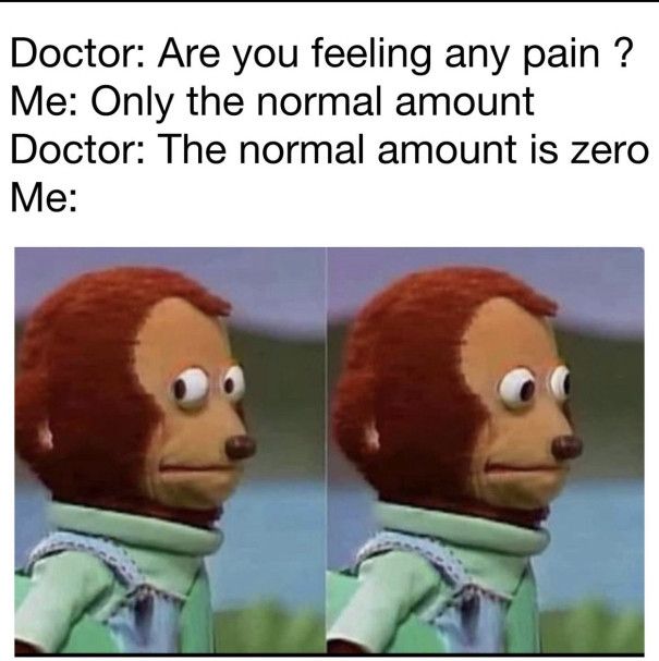 Doctor: Are you feeling any pain ?
Me: Only the normal amount
Doctor: The normal amount is zero
Me: [image of the Monkey Puppet known as Kenta from the Japanese children's television show Ōkiku Naru Ko awkwardly looking towards the camera and then away.]