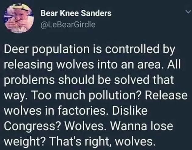 Bear Knee Sanders (@LeBearGirdIe)

"Deer population is controlled by releasing wolves into an area. All problems should be solved that way. Too much pollution? Release wolves in factories. Dislike Congress? Wolves. Wanna lose weight? That's right, wolves."