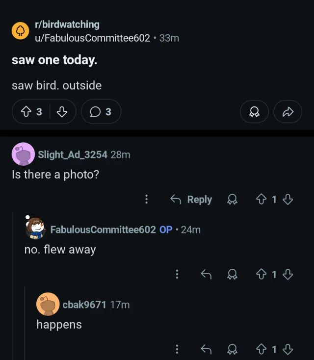 r/birdwatching,  post by u/FabulousCommittee602: 

"saw one today.

saw bird. outside"

replies:

Slight_Ad_3254:
"Is there a photo?"

FabulousCommittee602:
"no. flew away"

cbak9671:
"happens"