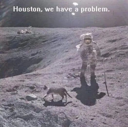 "Houston, we have a problem" 

Astronaut on the moon sees a kitty crossing his path.