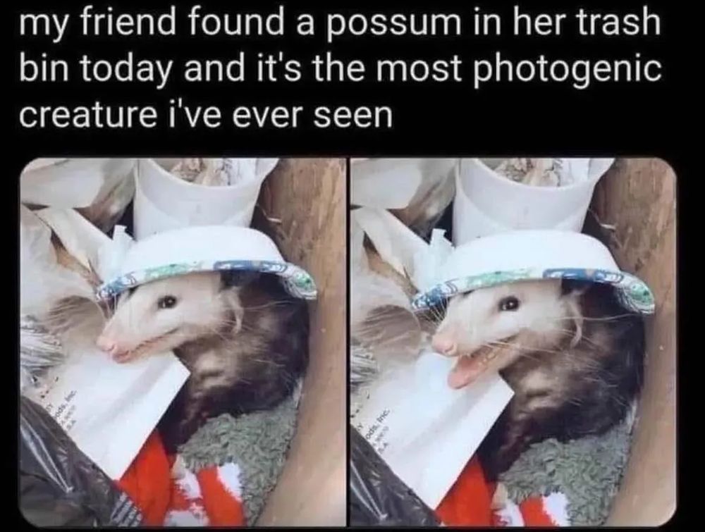 Comment image