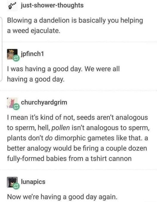 Tumblr:
just-shower-thoughts: "Blowing a dandelion is basically you helping a weed ejaculate." 

jpfinchl: "I was having a good day. We were all having a good day. "

churchyardgrim: "I mean it's kind of not, seeds aren't analogous to sperm, hell, pollen isn't analogous to sperm, plants don't do dimorphic gametes like that. a better analogy would be firing a couple dozen fully-formed babies from a tshirt cannon" 

lunapics: "Now we're having a good day again."