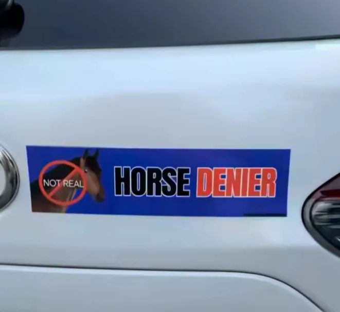 A bumpersticker: "Horse Denier" in all caps, a PS2 horse image with a red diagonally barred circle over it: "Not Real". (Found them for sale at: https://www.frogmustardstickers.com/products/horse-denier)