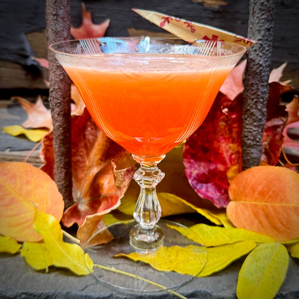 Paper Plane cocktail surrounded by an assortment of fall leaves, and a little paper airplane I placed on rim of glass