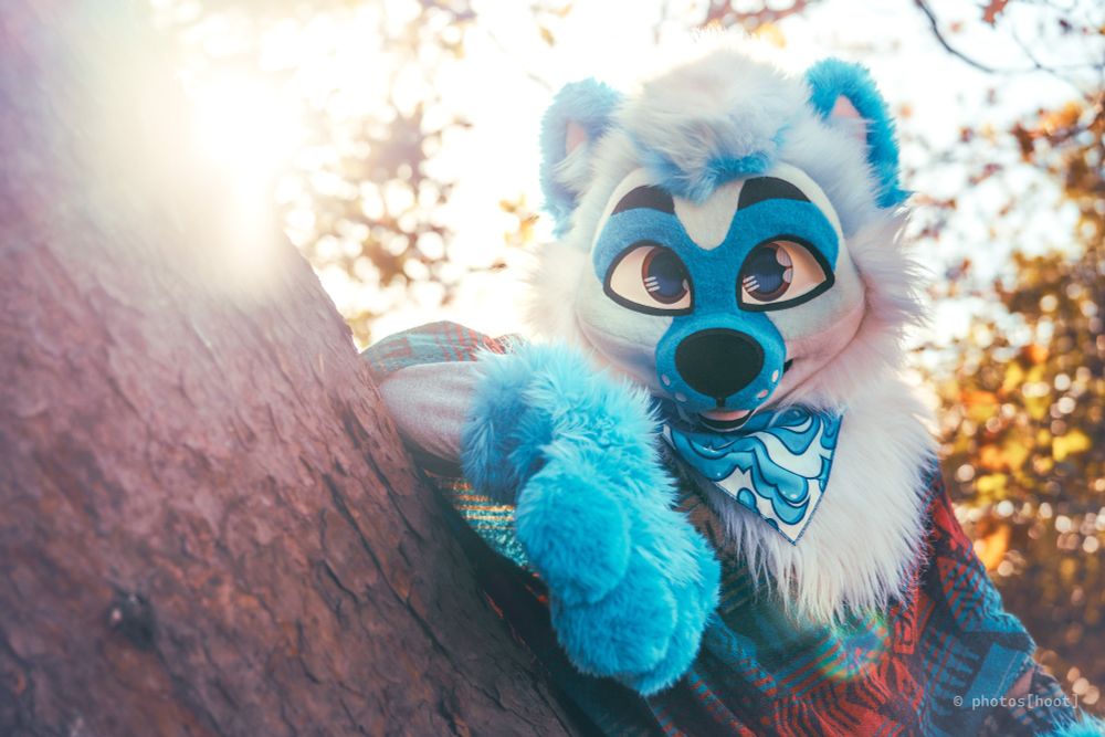 Photo of me wearing my Perky fursuit in a tree with a massive lens flare
