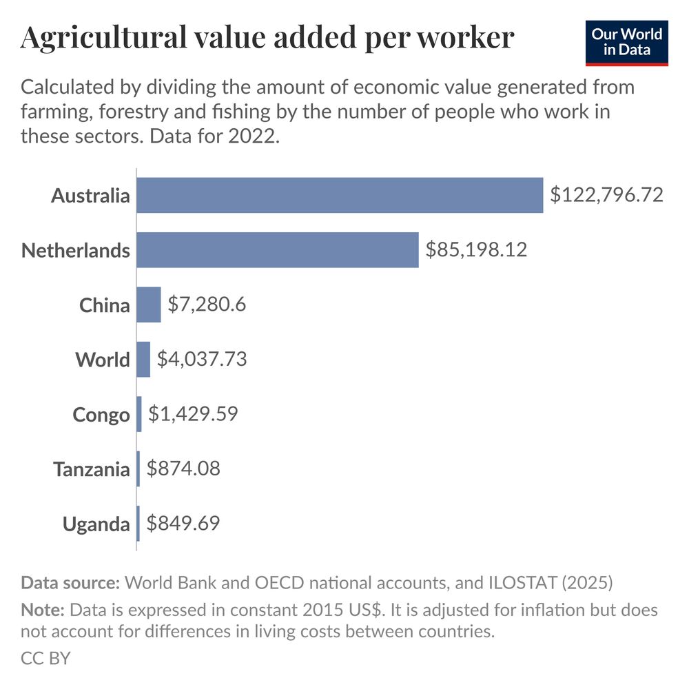 A bar chart showing agricultural value added per worker, which is calculated by dividing the amount of economic value generated from farming, forestry, and fishing by the number of people who work in those sectors. Data for 2022 is shown for 6 countries and the global average. Ag. value added per worker is relatively high in countries like Australia ($122,800) and the Netherlands ($85,200) — but relatively much lower in countries in Sub-Saharan Africa, such as Congo ($1429), Tanzania ($874), and Uganda ($850). The data is expressed in constant 2015 US dollars; it's adjusted for inflation but doesn't account for cost of living differences between countries. The data source is the World Bank, OECD national accounts, and ILOSTAT (2025). The chart is CC BY Our World in Data.