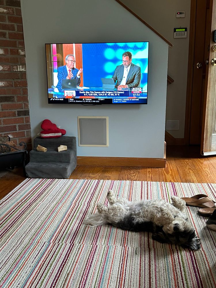 Mabel “watching” Red Sox trade deadline show.