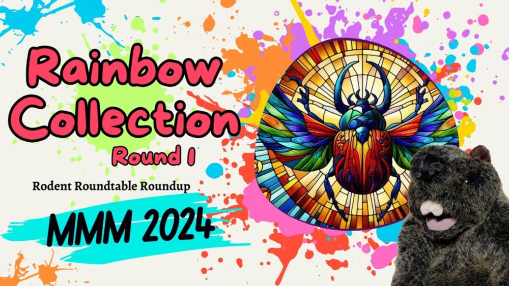 Rodent Recap - 2024 MMM - Rainbow Collection, Round 1!