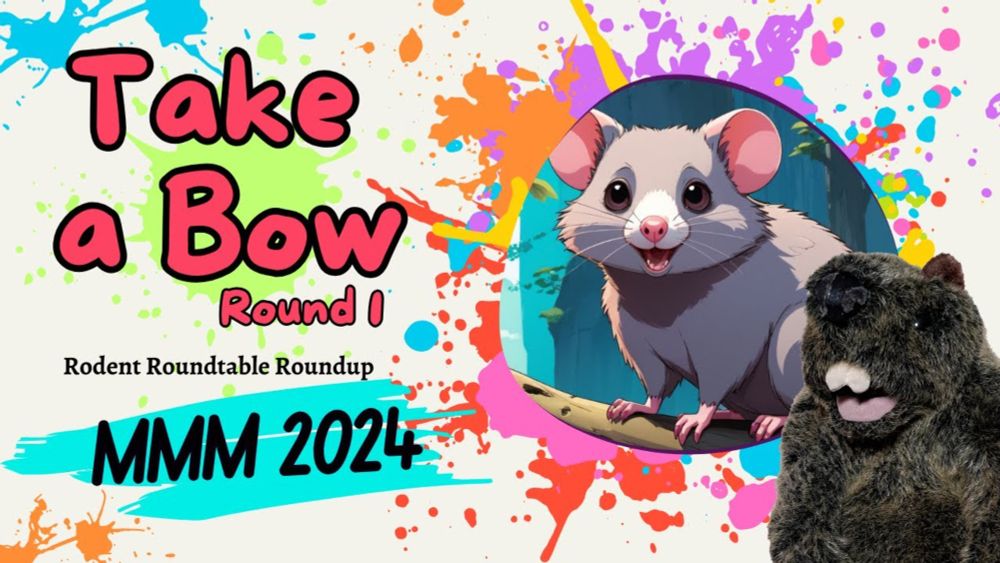Rodent Recap - 2024 MMM - Take a Bow, Round 1!