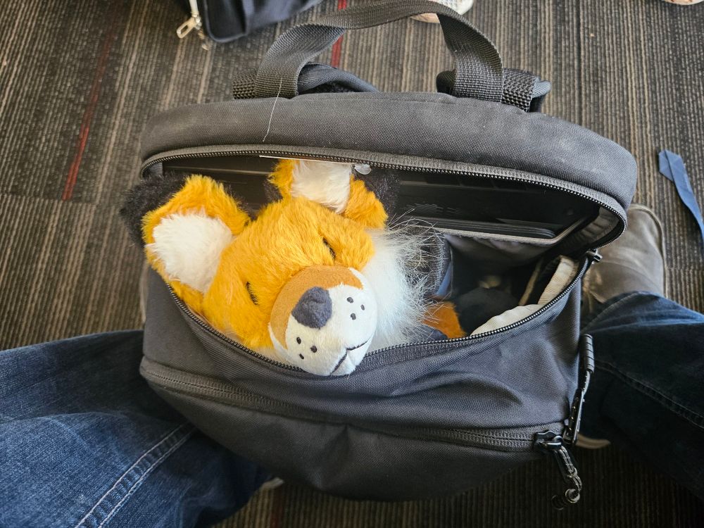 A picture of an unzipped backpack, with a plush fox peeking their head out