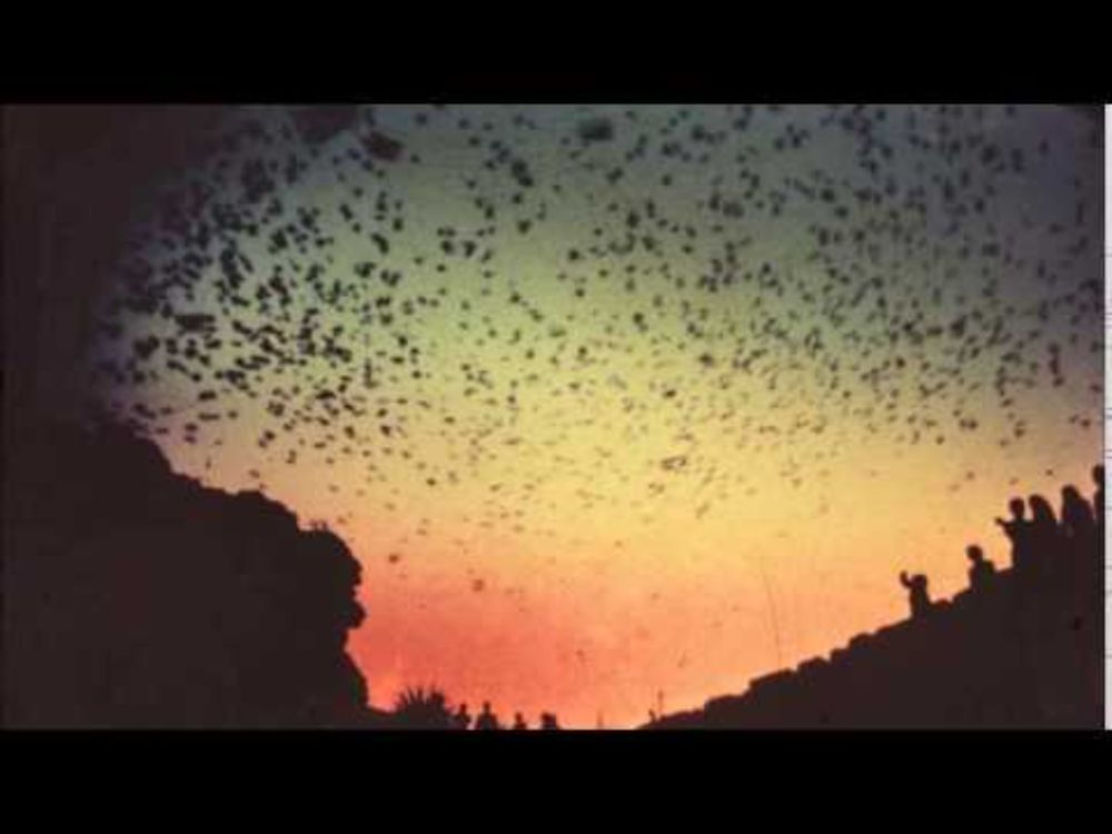 Boards of Canada - Untitled (Machinedrum Edit)