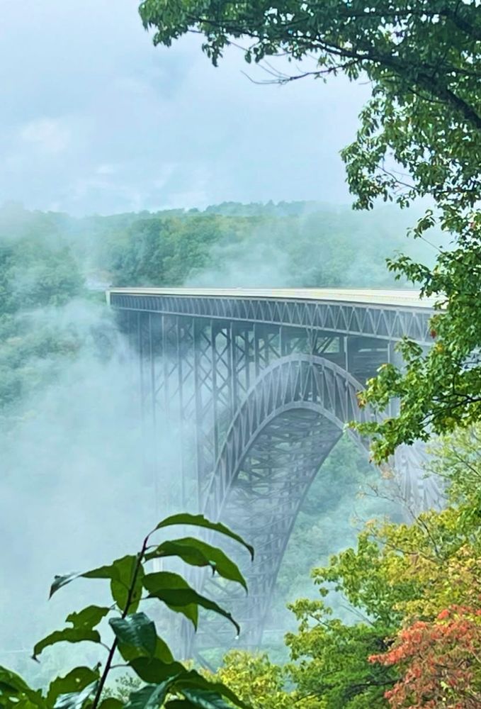 A light fog rolls in across the steel bridge, which is surrounded by green trees.