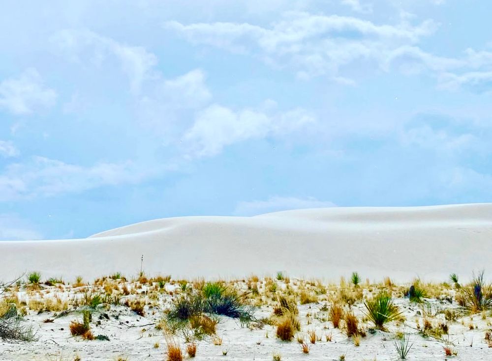 An image of a white sand dune with a blue cloudy sky above it and green shrubs below it.