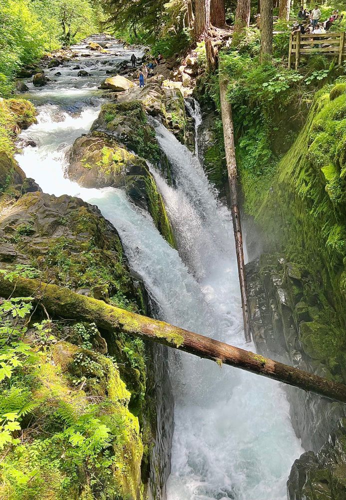 3 waterfalls stream from a single river, pouring into a fern covered canyon.