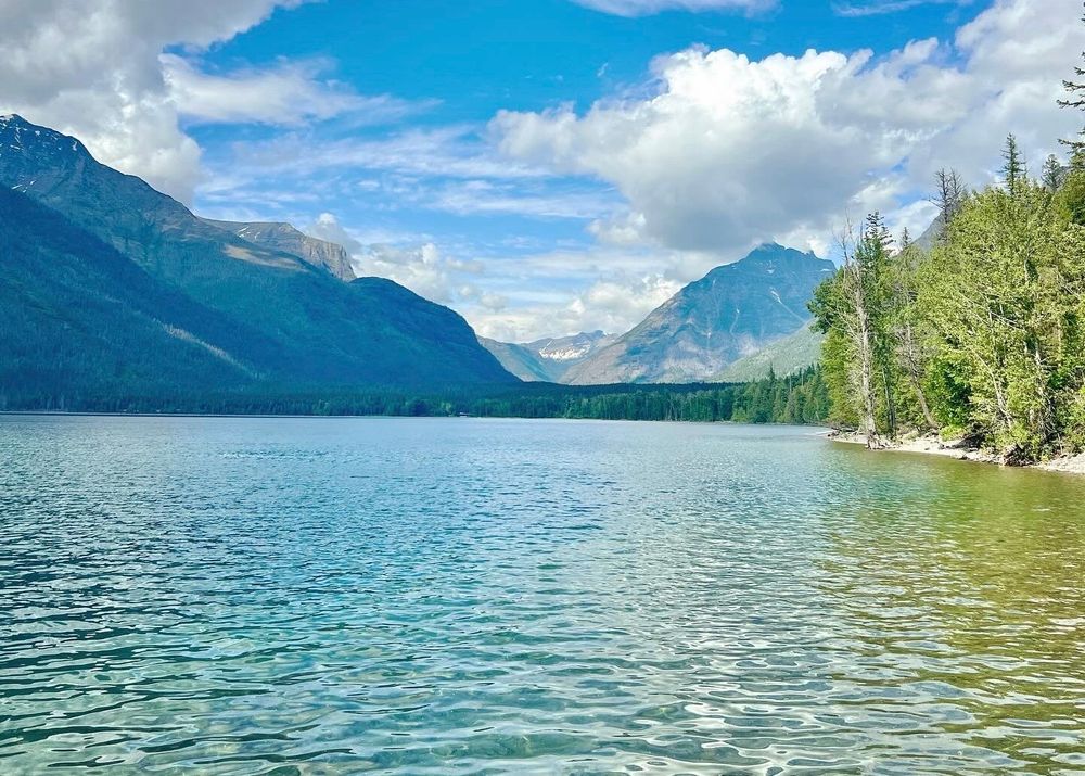A bright blue lake is in front of tall mountains in Glacier National Park. The sky is blue with big white puffy clouds. There is green trees to the right of the mountains. 