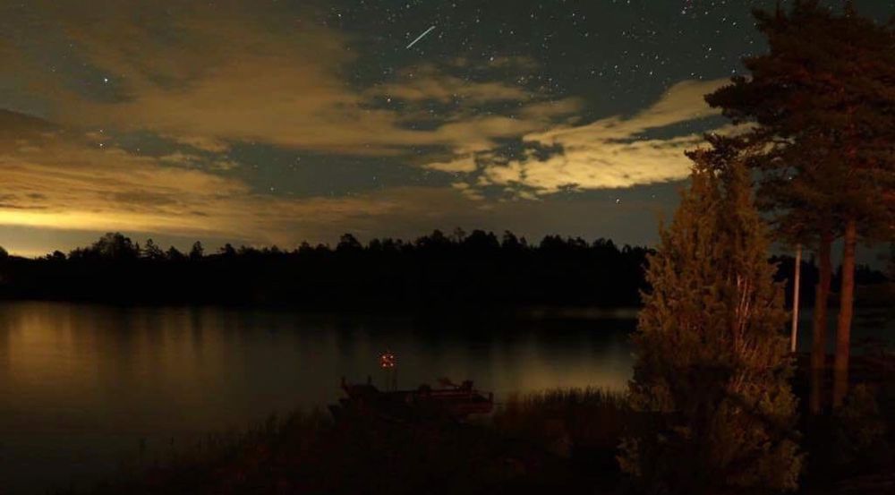 Nighttime. A cloudy sky with millions of stars reflects over a lake. Two tall trees are to the right of the lake.
