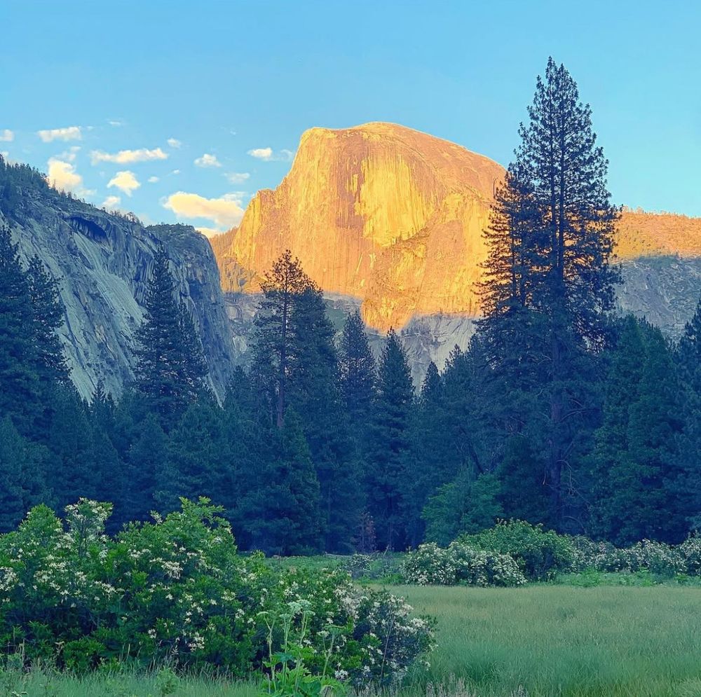 Half Dome glows orange as the sun sets. Blue sky above the dome and bright green grass and trees below it. 