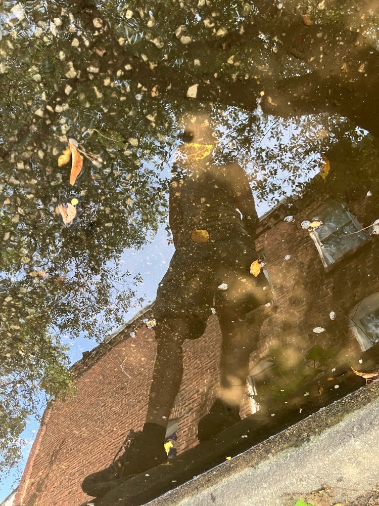 water reflection photo of a man standing on the edge of the sidewalk, looking down into a pool of water next to the curb. the man is wearing boots and shorts, and a tank top. his face is not visible. he has his hands behind his back. there is a reflection of a two-story brick building behind him, cutting diagonally across the frame. there is a large tree stretching behind his head and across the top of the frame, and down the left side. there are leaves floating in the water.